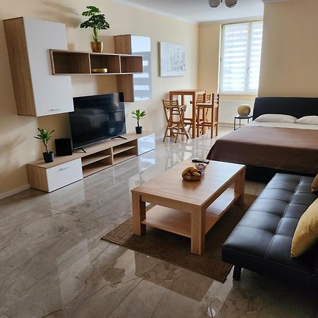 Studio Apartman Borlin Karlovac Eksteriør billede