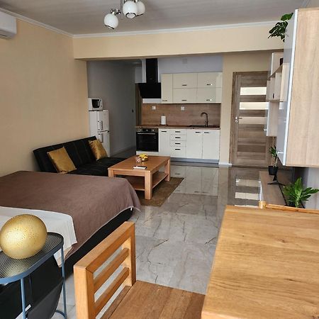 Studio Apartman Borlin Karlovac Eksteriør billede